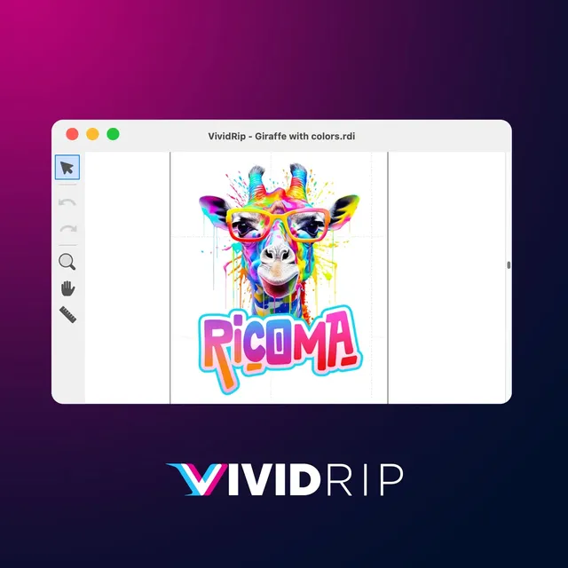 ricoma-software-logiciel-rip-vividrip-dtf-dtg-mac-pc image 1