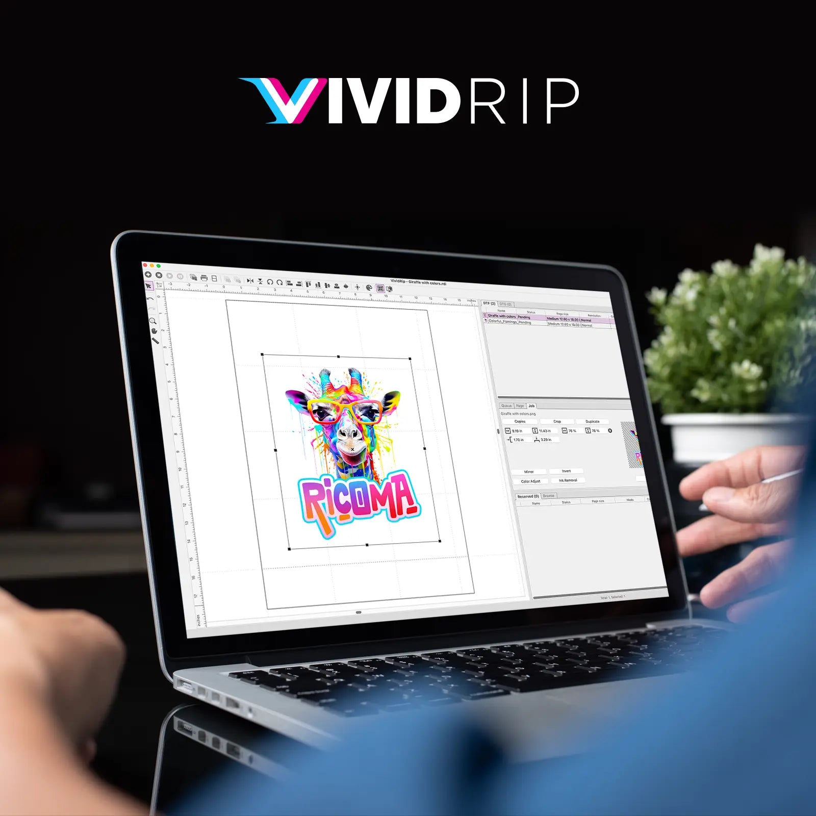 ricoma-vividrip-logiciel-rip-dtf-dtg-mac-pc image 2