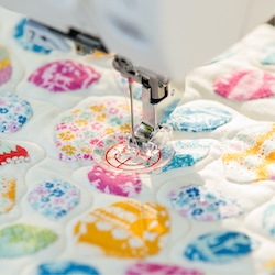 elna-excellence-pied-quilting-piqu-libre-transparent-qv image 2